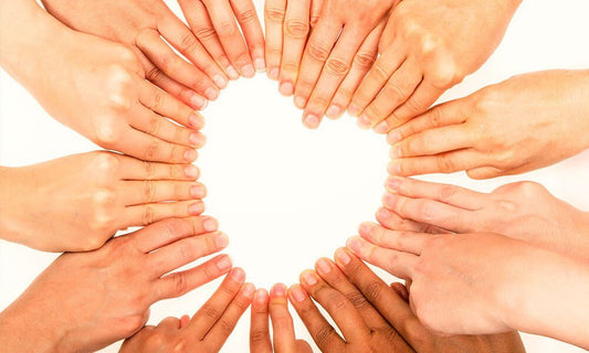 Organic Carrot Hand Lotion – Ultra-Hydrating Daily Moisturizer with Aloe & Shea Butter, Stress-Relieving Aromatherapy, Vegan & Cruelty-Free, by Bronzo Sensuale 8.5 fl oz